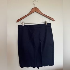 J. Crew Skirt